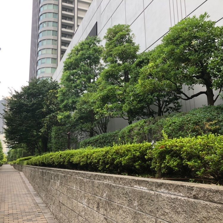 タッキーさんが投稿したChocolate Bar TOKYOに関する口コミの画像
