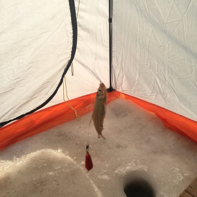 しゃんぽんさんが投稿した食事処 海兵に関する口コミの画像