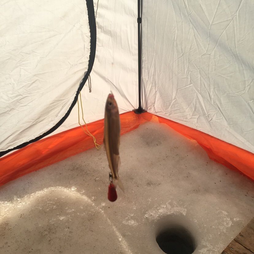しゃんぽんさんが投稿した食事処 海兵に関する口コミの画像