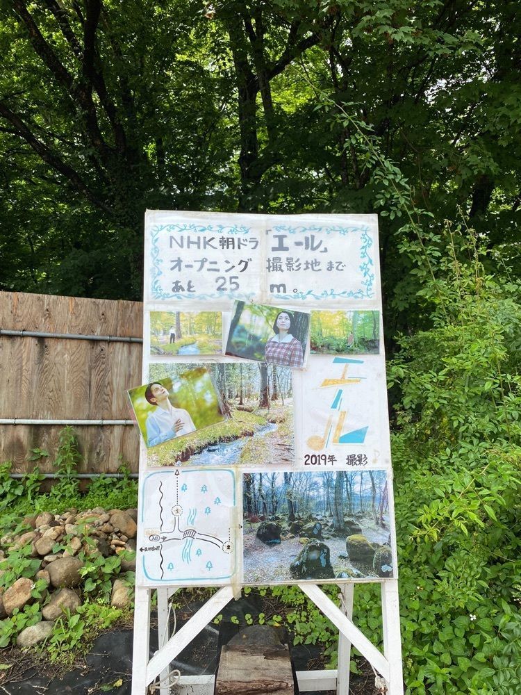 かめ_メグミさんが投稿した水林自然林に関する口コミの画像