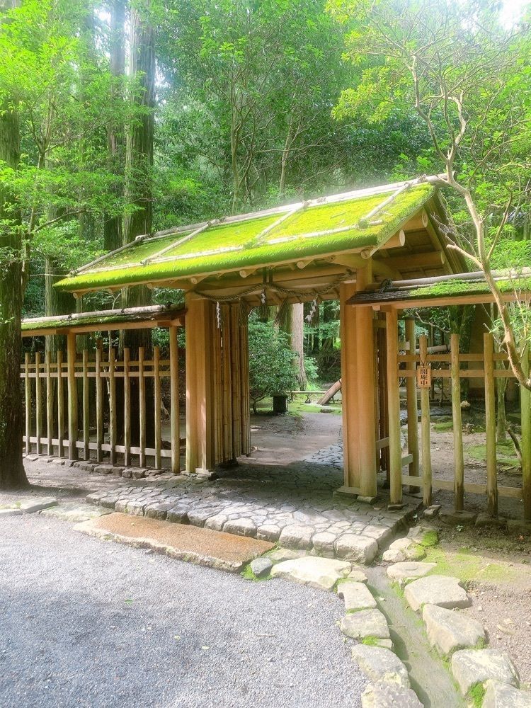 み〜のさんが投稿した椿会館（つばきかいかん）に関する口コミの画像