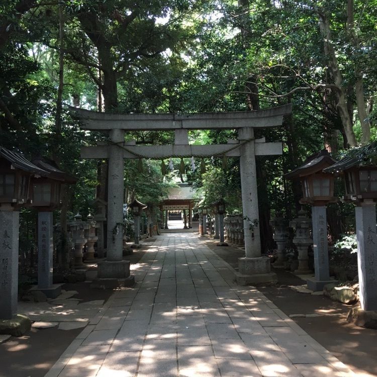 ニシさんが投稿した諏訪神社に関する口コミの画像