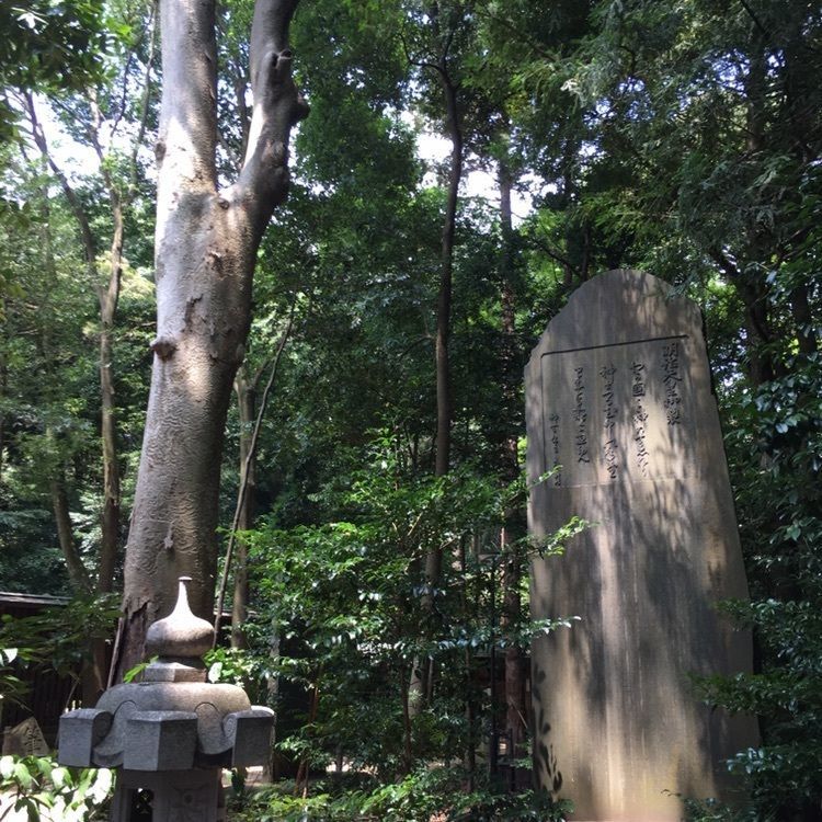 ニシさんが投稿した諏訪神社に関する口コミの画像