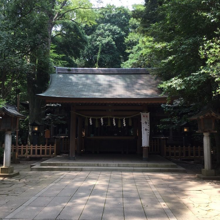 ニシさんが投稿した諏訪神社に関する口コミの画像