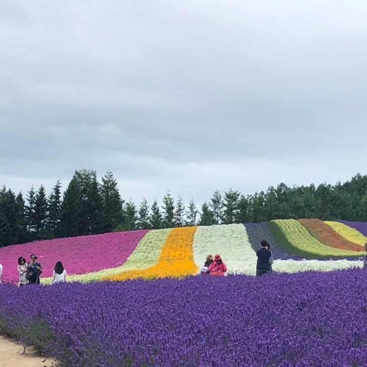 kazu&kinakoさんが投稿した画像の画像