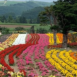 ぜるぶの丘（ゼルブノオカ） 3枚目