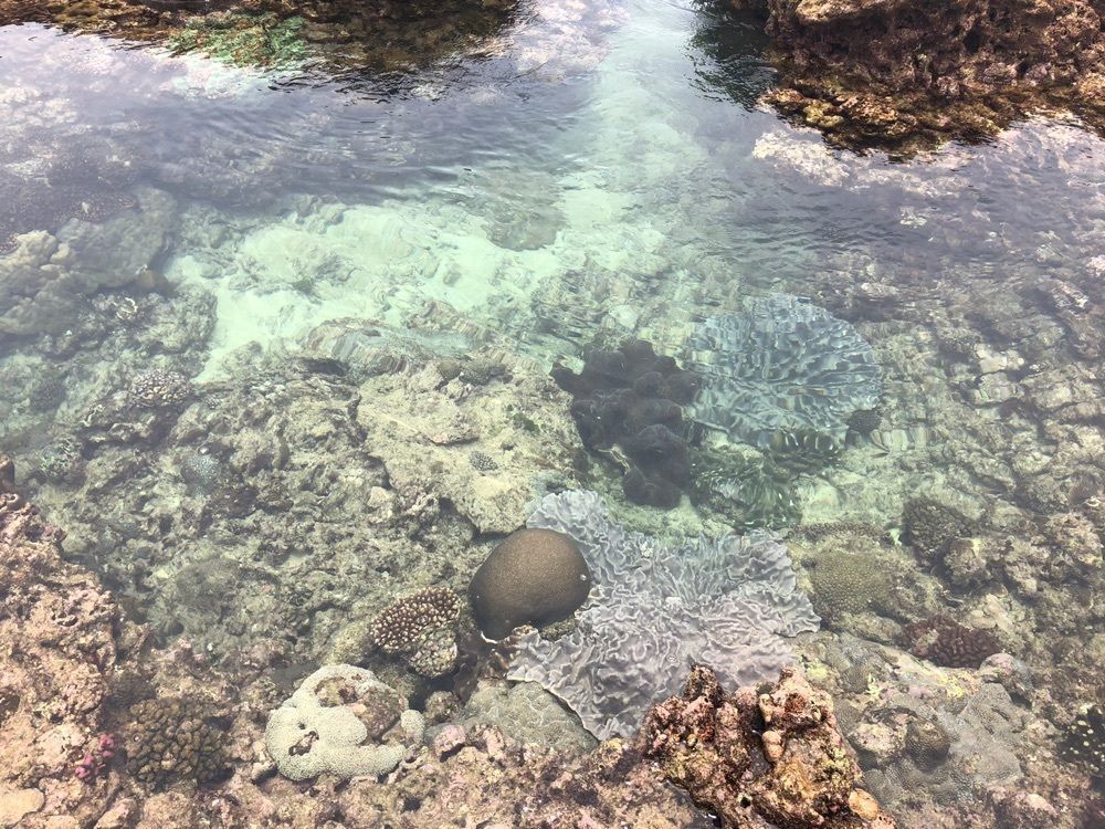 MIKASAさんが投稿した土浜海岸に関する口コミの画像