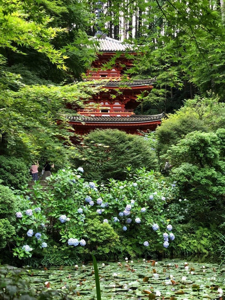 nicanさんが投稿した岩船寺三重塔に関する口コミの画像