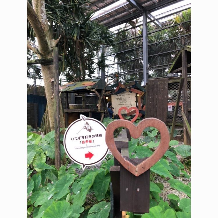 CANDYさんが投稿したトロピカル王国 オキナワ・フルーツ・ランド（トロピカル王国 OKINAWA FRUITS LAND）に関する口コミの画像