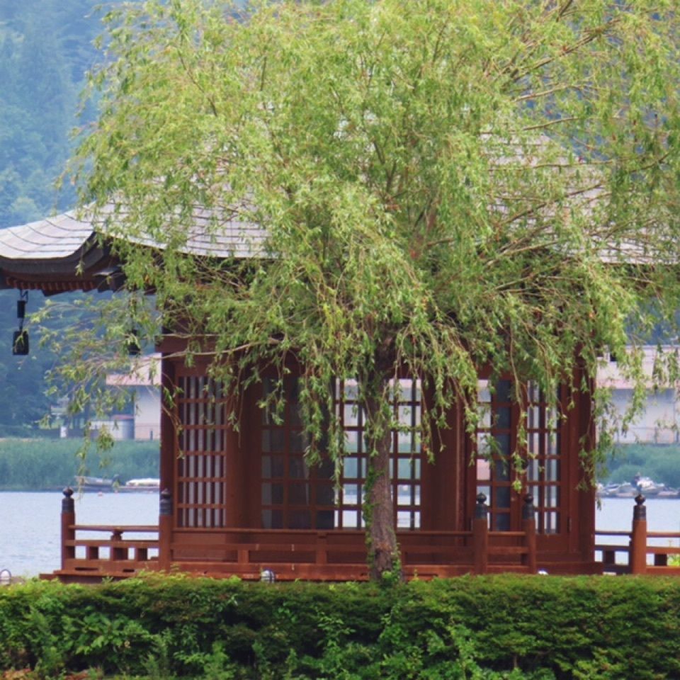 yoshiさんが投稿した八木崎公園に関する口コミの画像