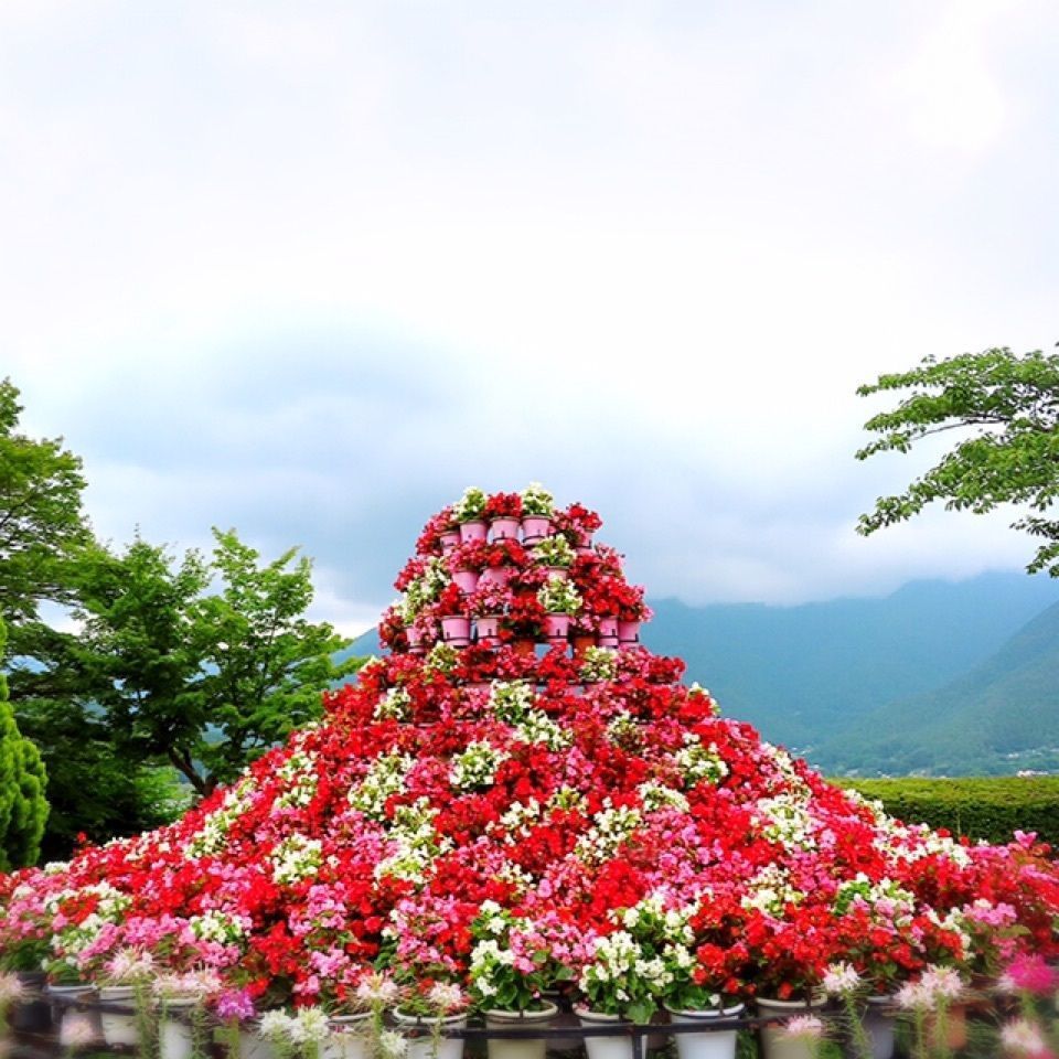 yoshiさんが投稿した八木崎公園に関する口コミの画像