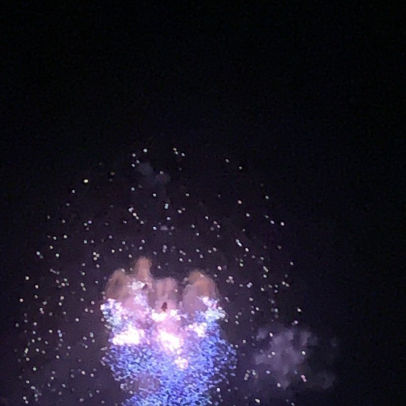 HANAさんが投稿した長浜・北びわ湖大花火大会に関する口コミの画像