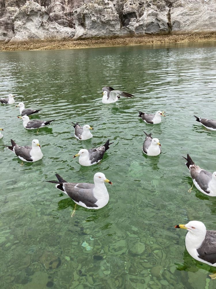 Mさんが投稿した青の洞窟に関する口コミの画像