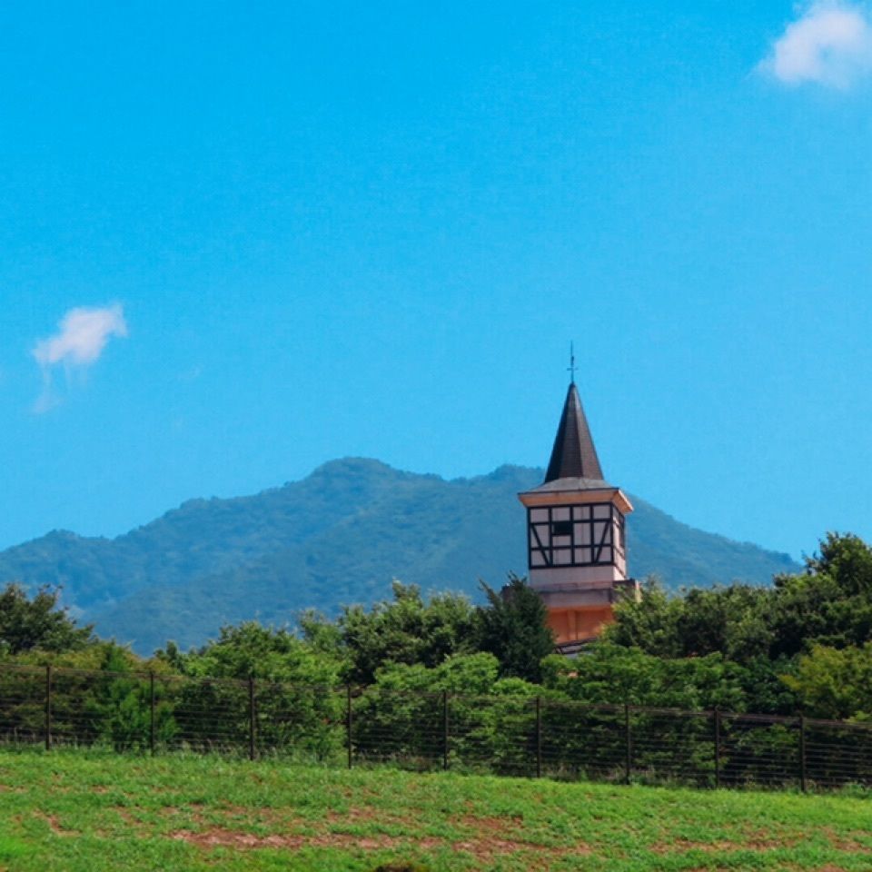 yoshiさんが投稿した画像の画像
