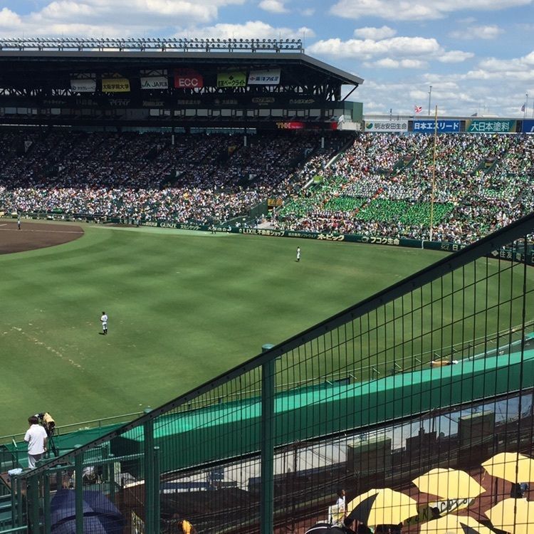 酔TAROUさんが投稿した甲子園焼きそばに関する口コミの画像