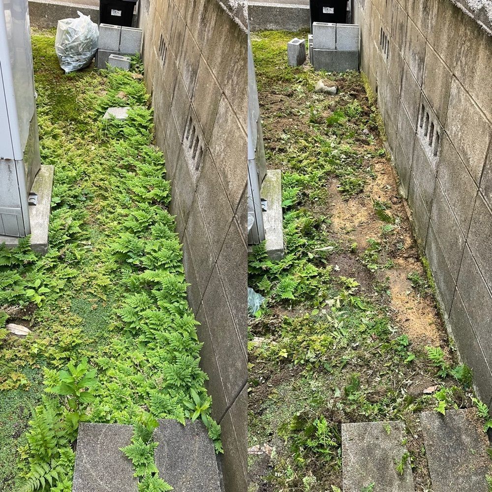 らぐ🏉🍺ビアさんが投稿したパン屋 たねに関する口コミの画像