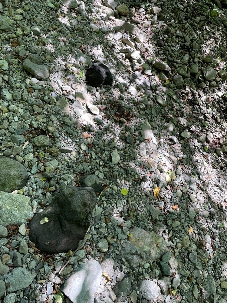 hirokororinさんが投稿した富士山バギーに関する口コミの画像