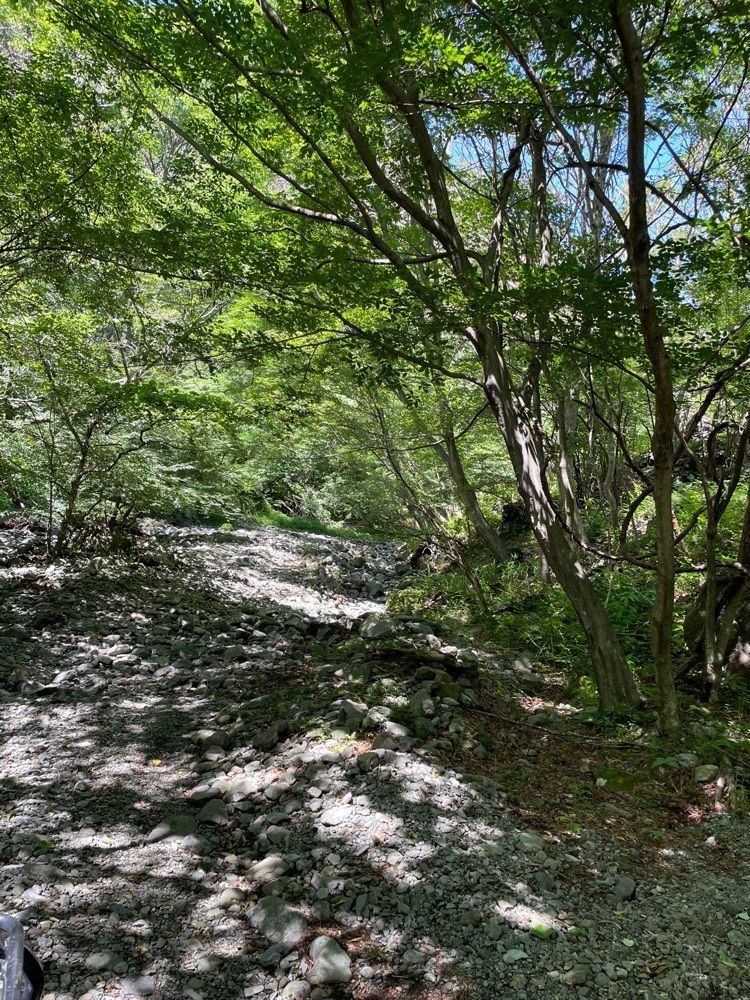 hirokororinさんが投稿した富士山バギーに関する口コミの画像
