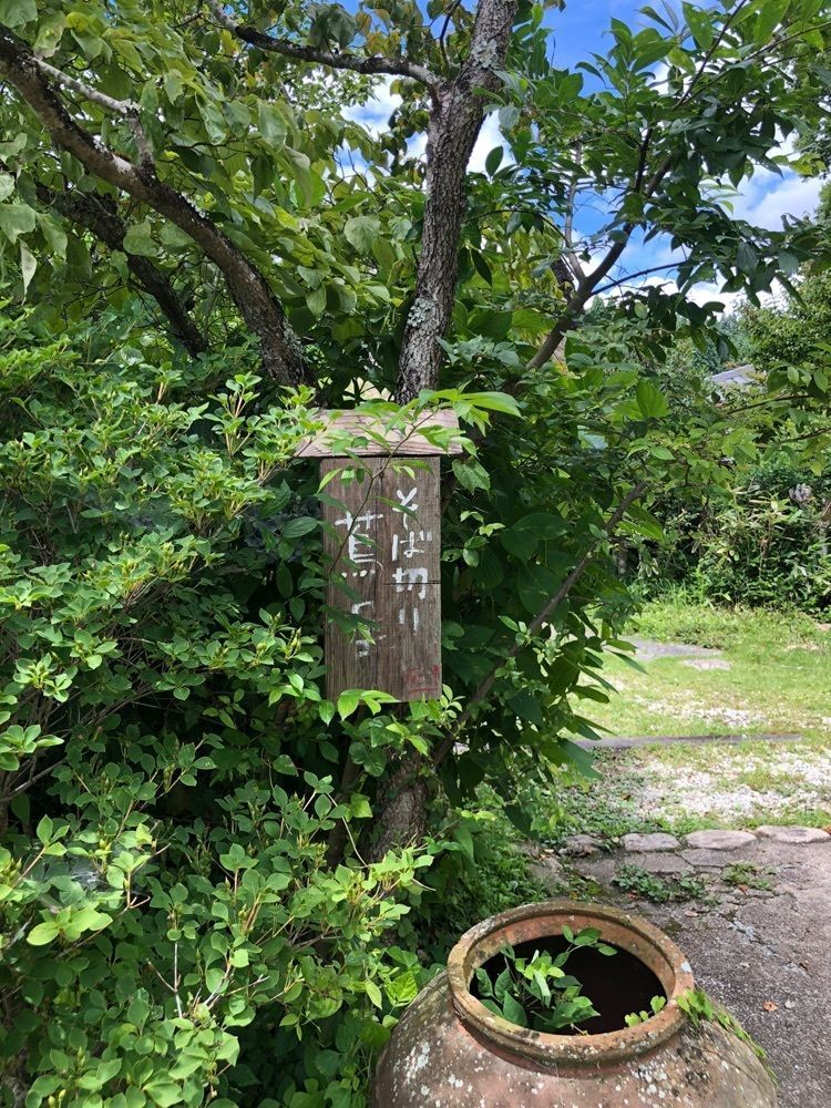 miwaさんが投稿したそば切り 蔦屋（そばきりつたや）に関する口コミの画像