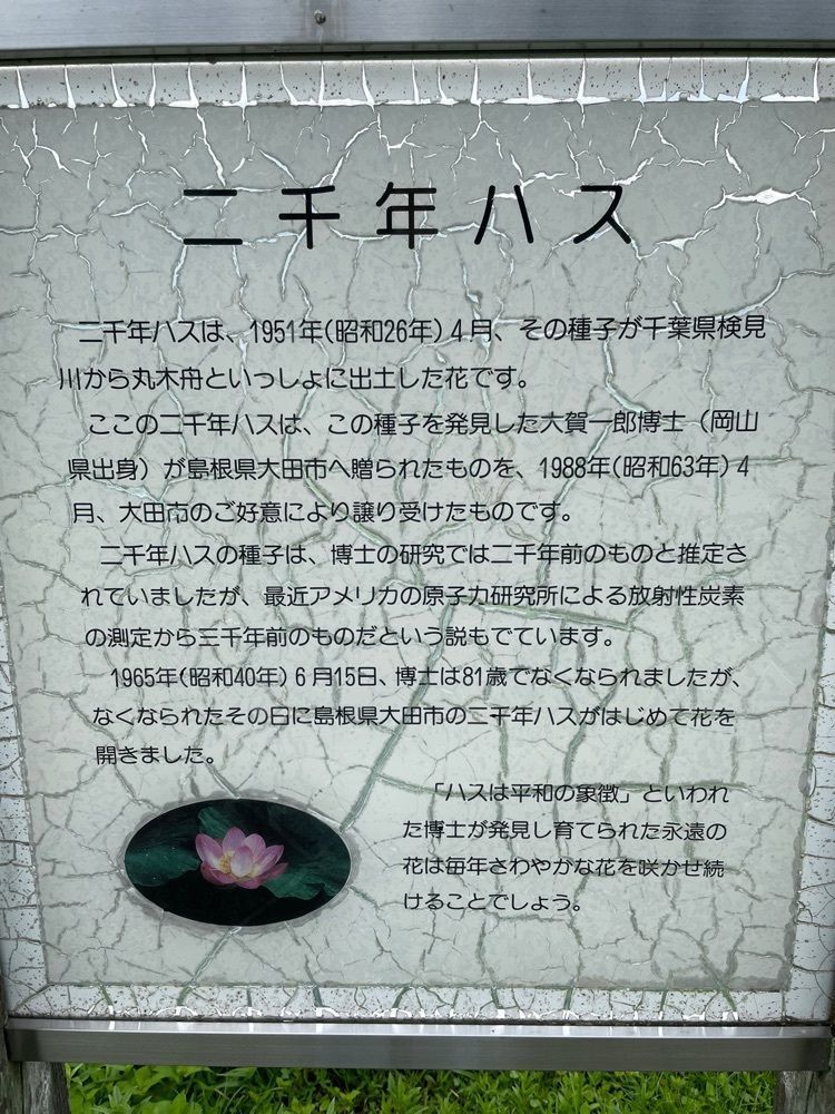 みーなさんが投稿した荒神谷遺跡に関する口コミの画像
