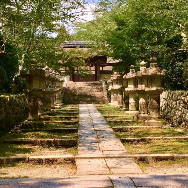 SHi-Ge.さんが投稿した円満院門跡庭園に関する口コミの画像