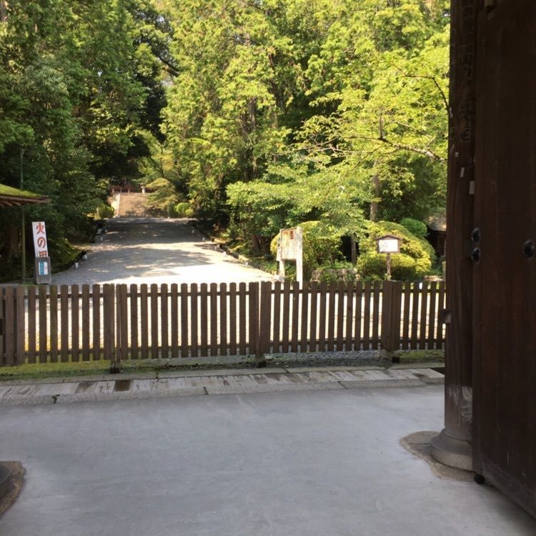 SHi-Ge.さんが投稿した円満院門跡庭園に関する口コミの画像