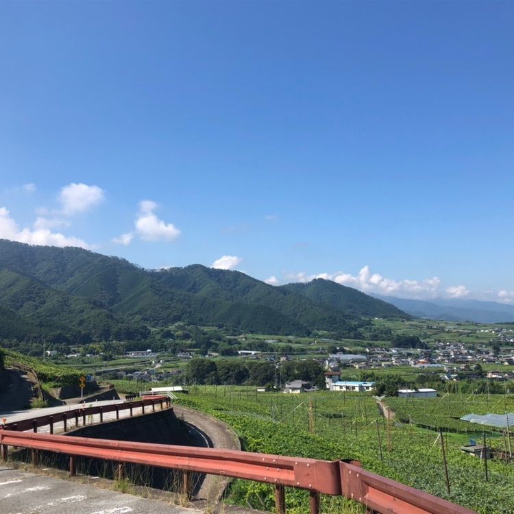 タッキーさんが投稿した山口園に関する口コミの画像
