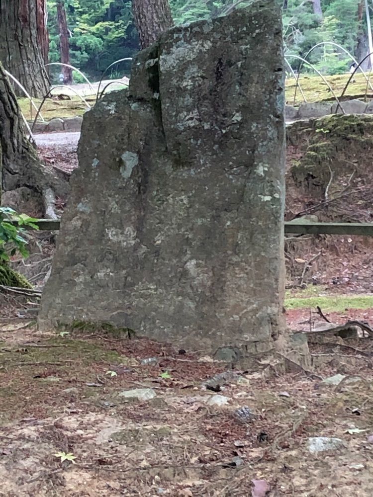 fumiさんが投稿した平泉文化遺産センターに関する口コミの画像