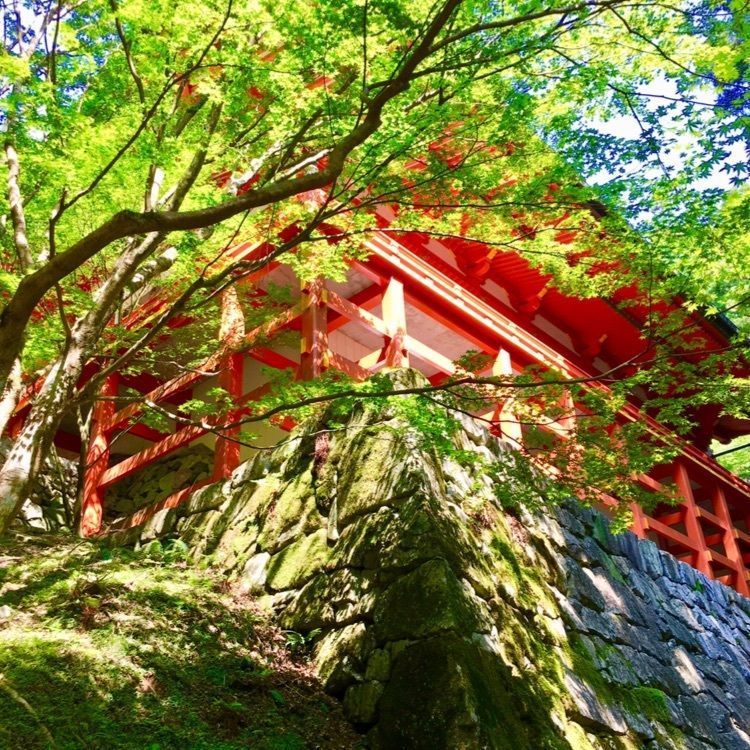 SHi-Ge.さんが投稿した延暦寺会館（エンリャクジカイカン）に関する口コミの画像