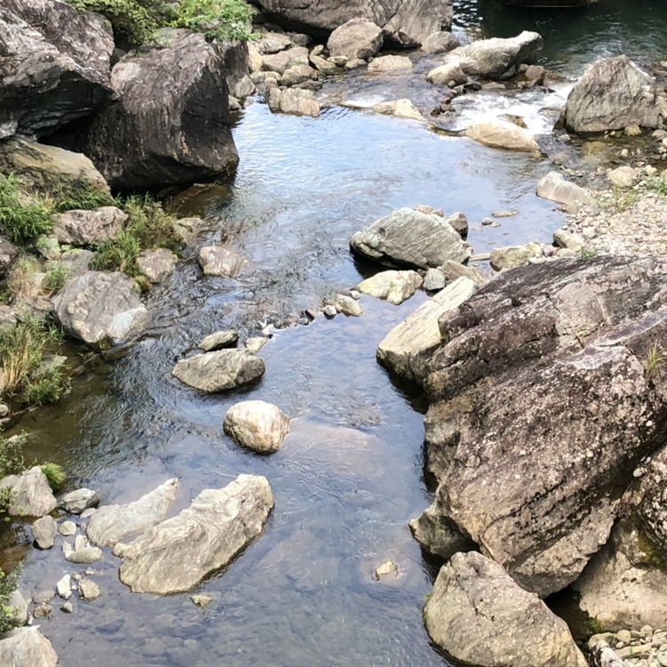 タッキーさんが投稿した三波石峡に関する口コミの画像