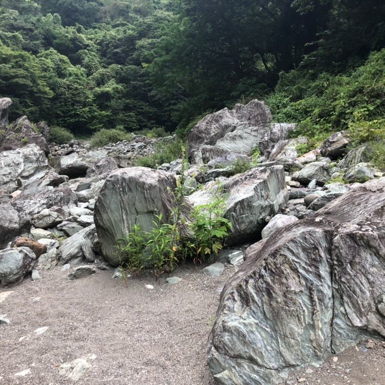 タッキーさんが投稿した三波石峡に関する口コミの画像