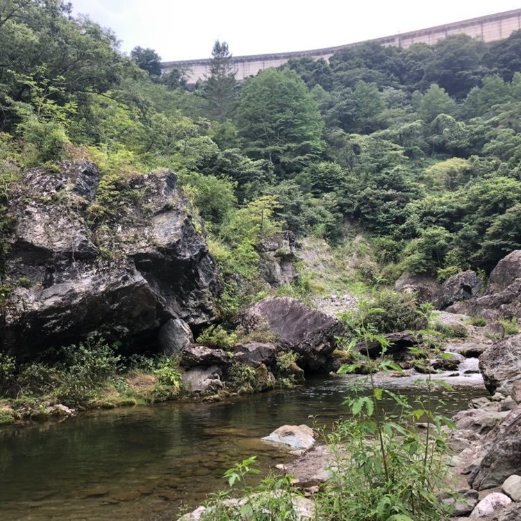 タッキーさんが投稿した三波石峡に関する口コミの画像