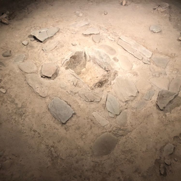 タッキーさんが投稿した譲原石器時代住居跡に関する口コミの画像