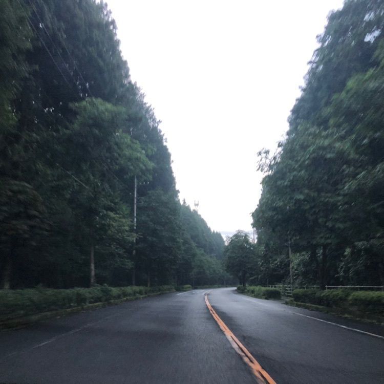 タッキーさんが投稿した日光北街道に関する口コミの画像