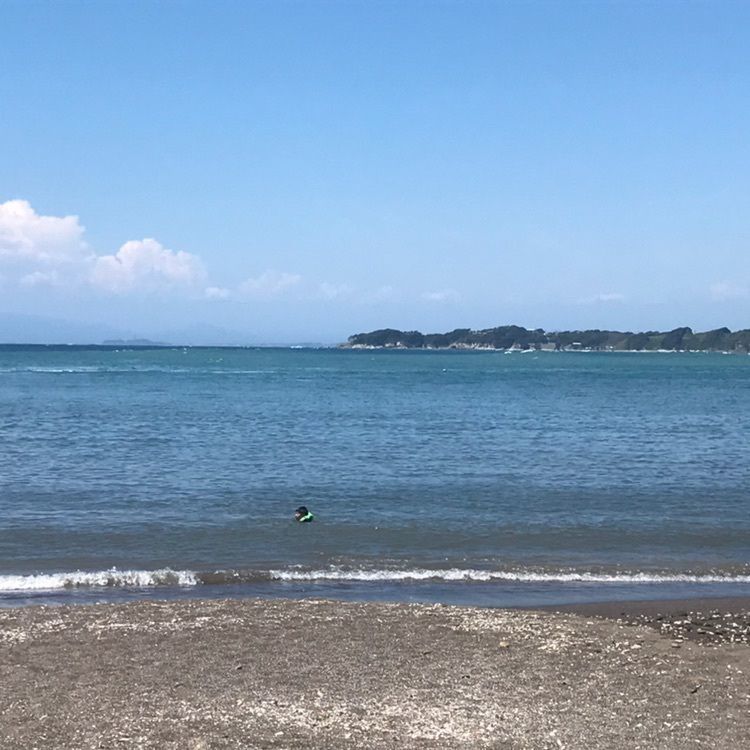 かよこさんが投稿した三戸海水浴場に関する口コミの画像