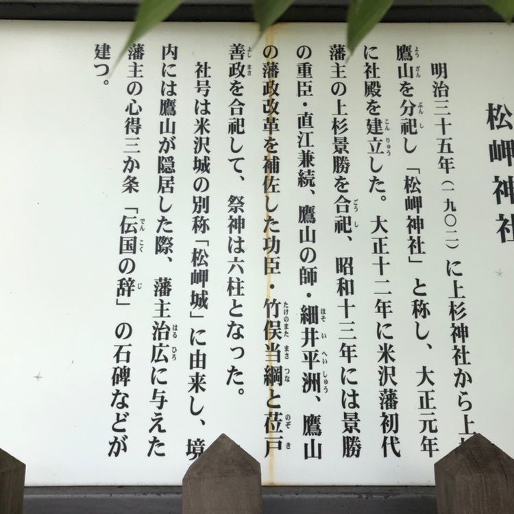 タッキーさんが投稿した松岬公園の桜に関する口コミの画像