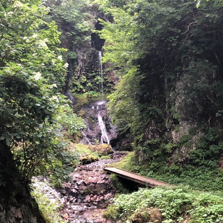 タッキーさんが投稿したくぐり滝に関する口コミの画像