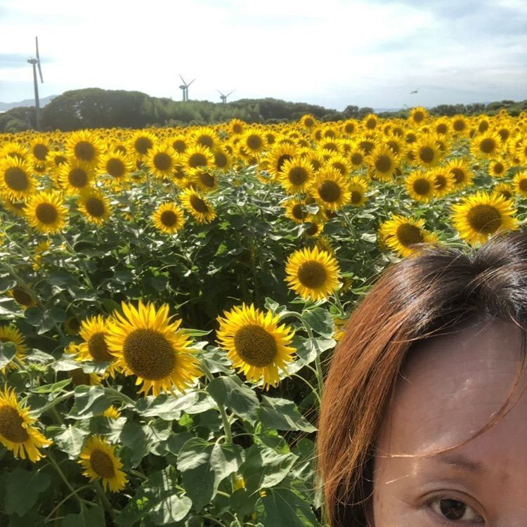 クルミ50さんが投稿した星鹿城山に関する口コミの画像