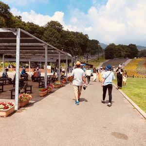 たんばらラベンダーパーク