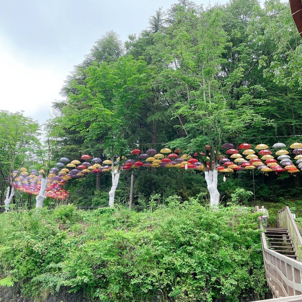 ☆さんが投稿したムーミンバレーパークに関する口コミの画像