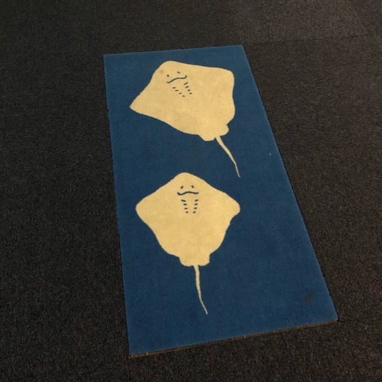 momotaro_3さんが投稿した浅虫水族館に関する口コミの画像