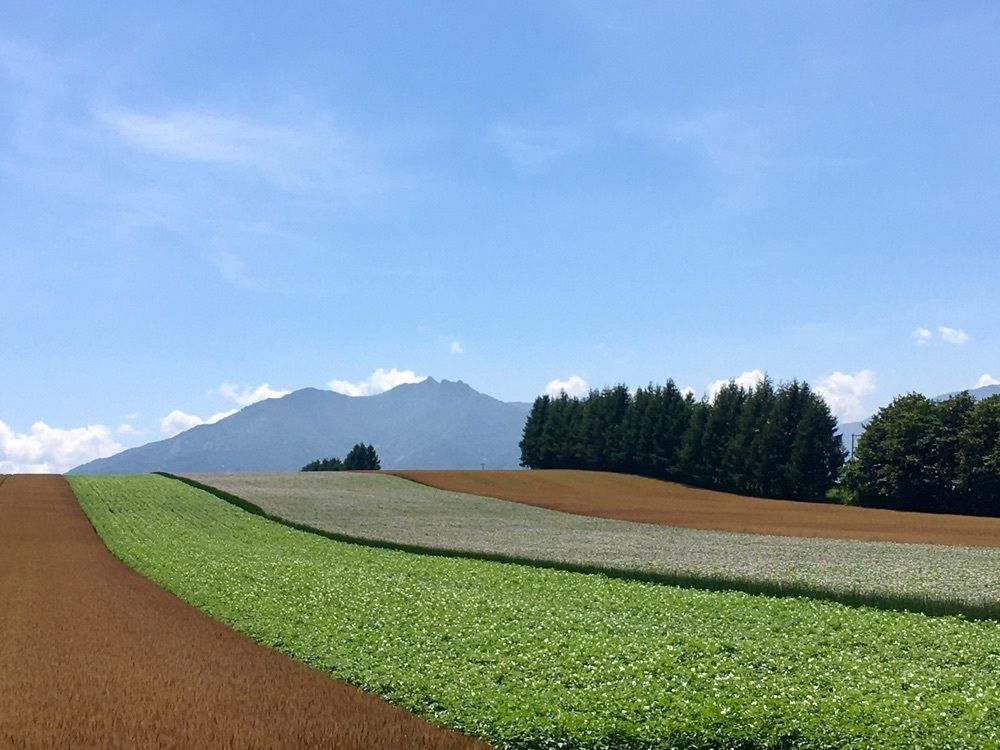 yoshiさんが投稿した狩勝峠展望台に関する口コミの画像