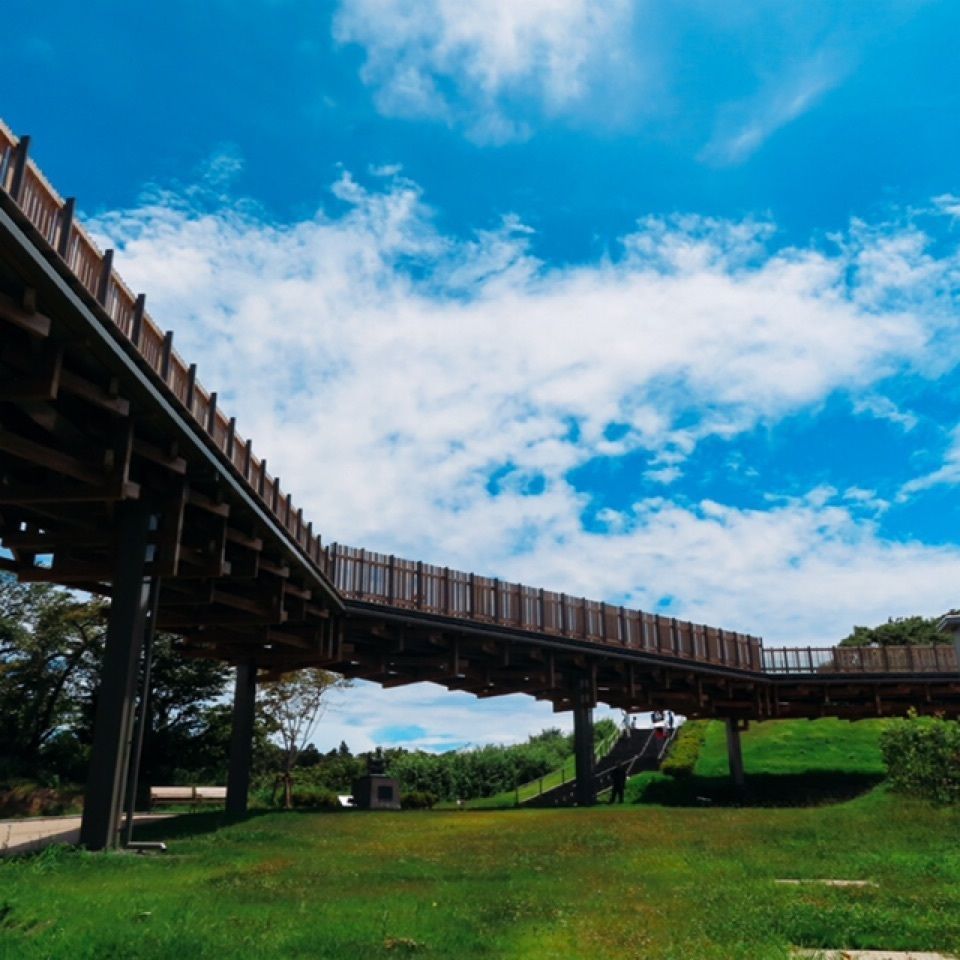 yoshiさんが投稿した画像の画像