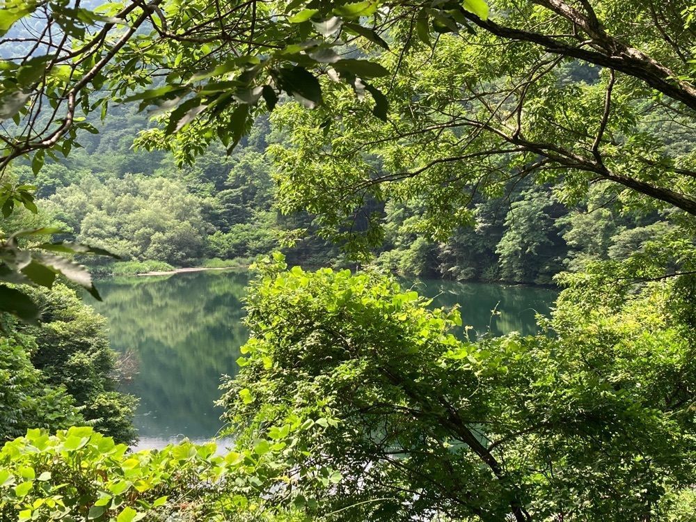 Howl Monさんが投稿した牛伏寺に関する口コミの画像