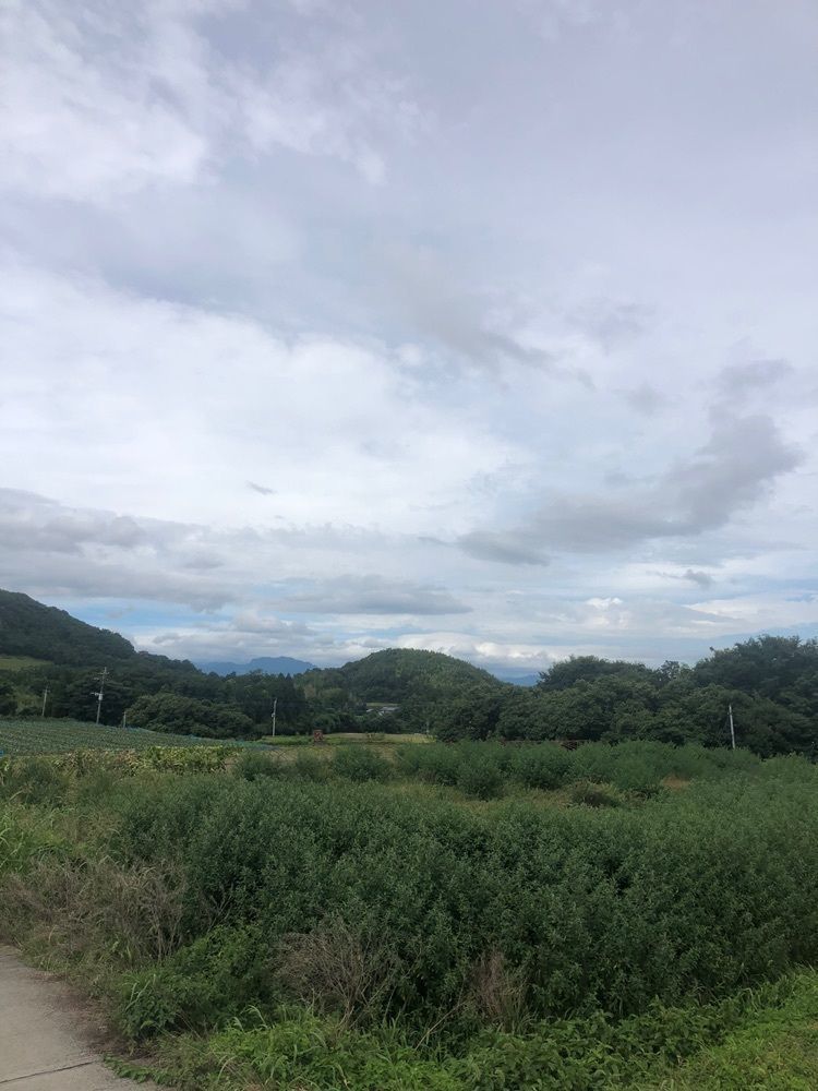 おっさん14号さんが投稿したすいかの里 植木に関する口コミの画像