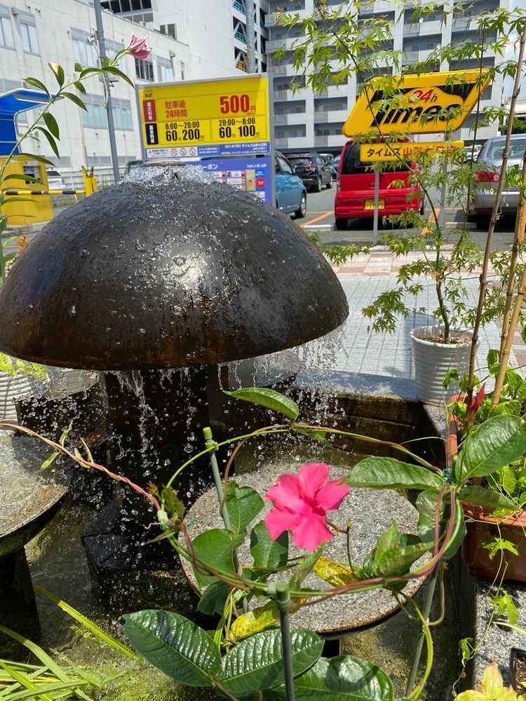 かめ_メグミさんが投稿した珈琲専科煉瓦家に関する口コミの画像