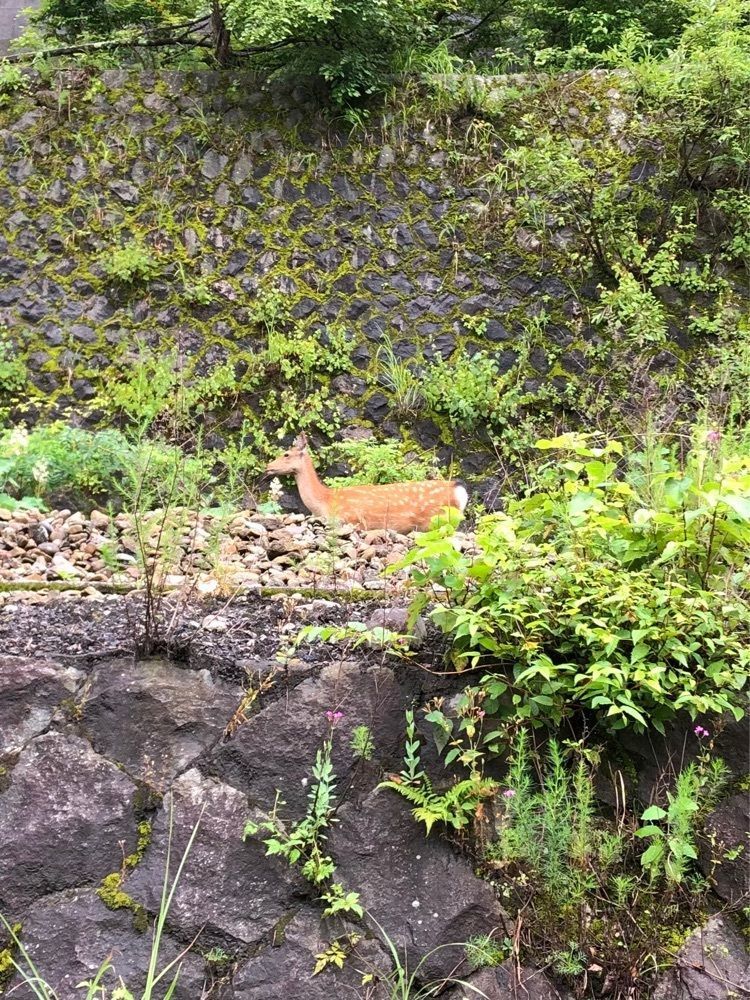 からっ風②さんが投稿した間藤駅に関する口コミの画像