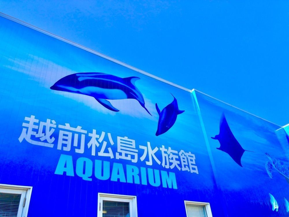 たうこさんが投稿したディッピンドッツ 越前松島水族館に関する口コミの画像