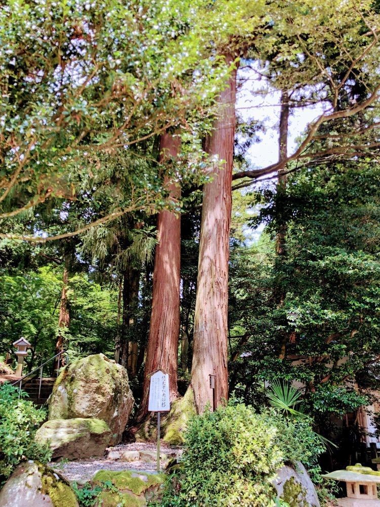 miwaさんが投稿した劔神社に関する口コミの画像
