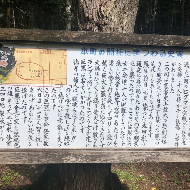 kazu&kinakoさんが投稿した画像の画像